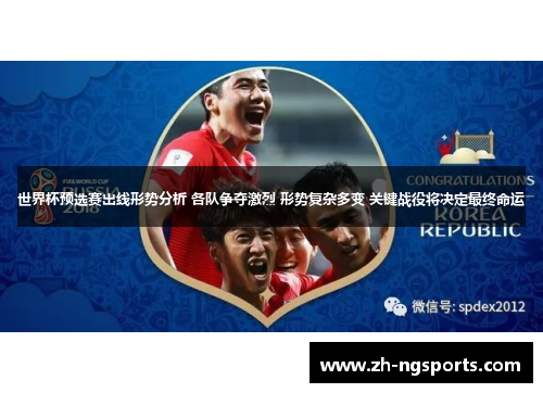 世界杯预选赛出线形势分析 各队争夺激烈 形势复杂多变 关键战役将决定最终命运
