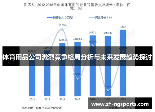 体育用品公司激烈竞争格局分析与未来发展趋势探讨