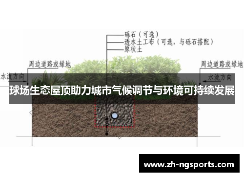 球场生态屋顶助力城市气候调节与环境可持续发展