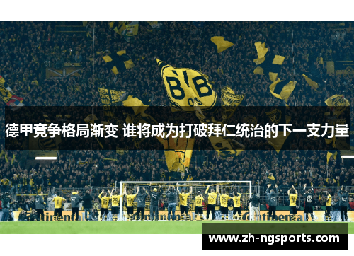 德甲竞争格局渐变 谁将成为打破拜仁统治的下一支力量