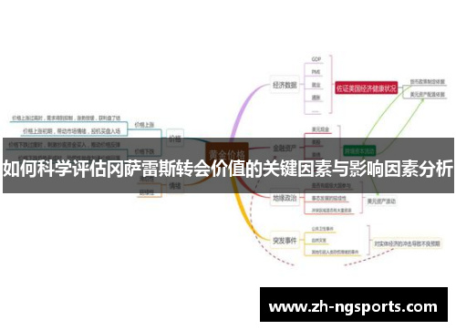 如何科学评估冈萨雷斯转会价值的关键因素与影响因素分析