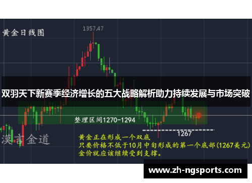 双羽天下新赛季经济增长的五大战略解析助力持续发展与市场突破
