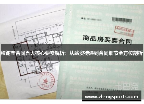 穆谢奎合同五大核心要素解析：从薪资待遇到合同细节全方位剖析