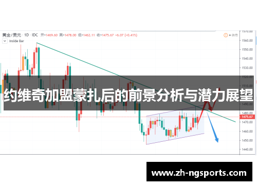 约维奇加盟蒙扎后的前景分析与潜力展望