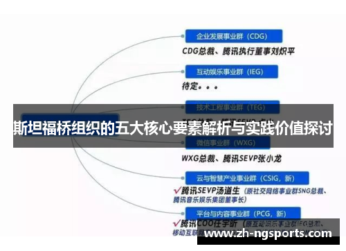 斯坦福桥组织的五大核心要素解析与实践价值探讨